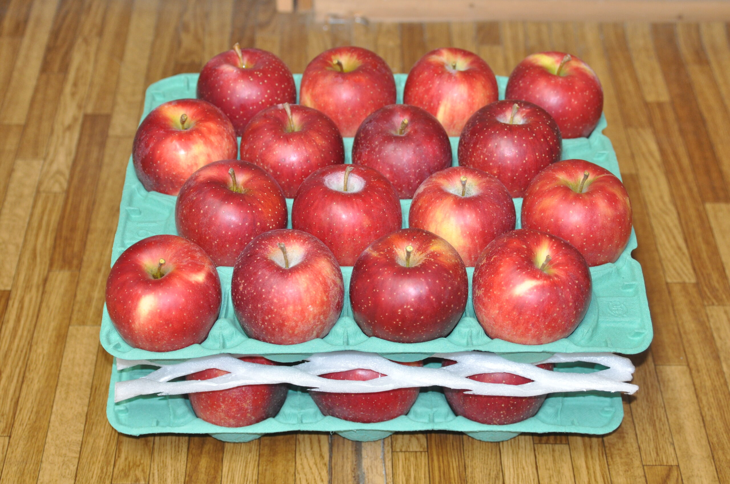 りんご・陽光10kg