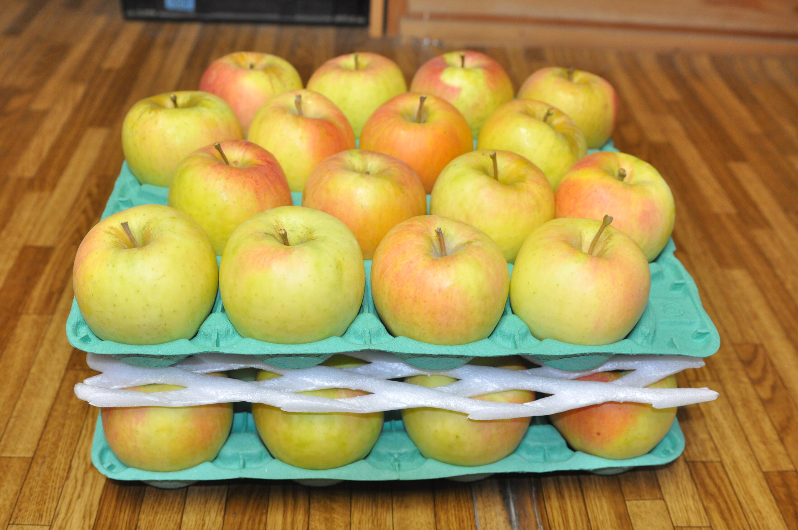 りんご・ぐんま名月10kg