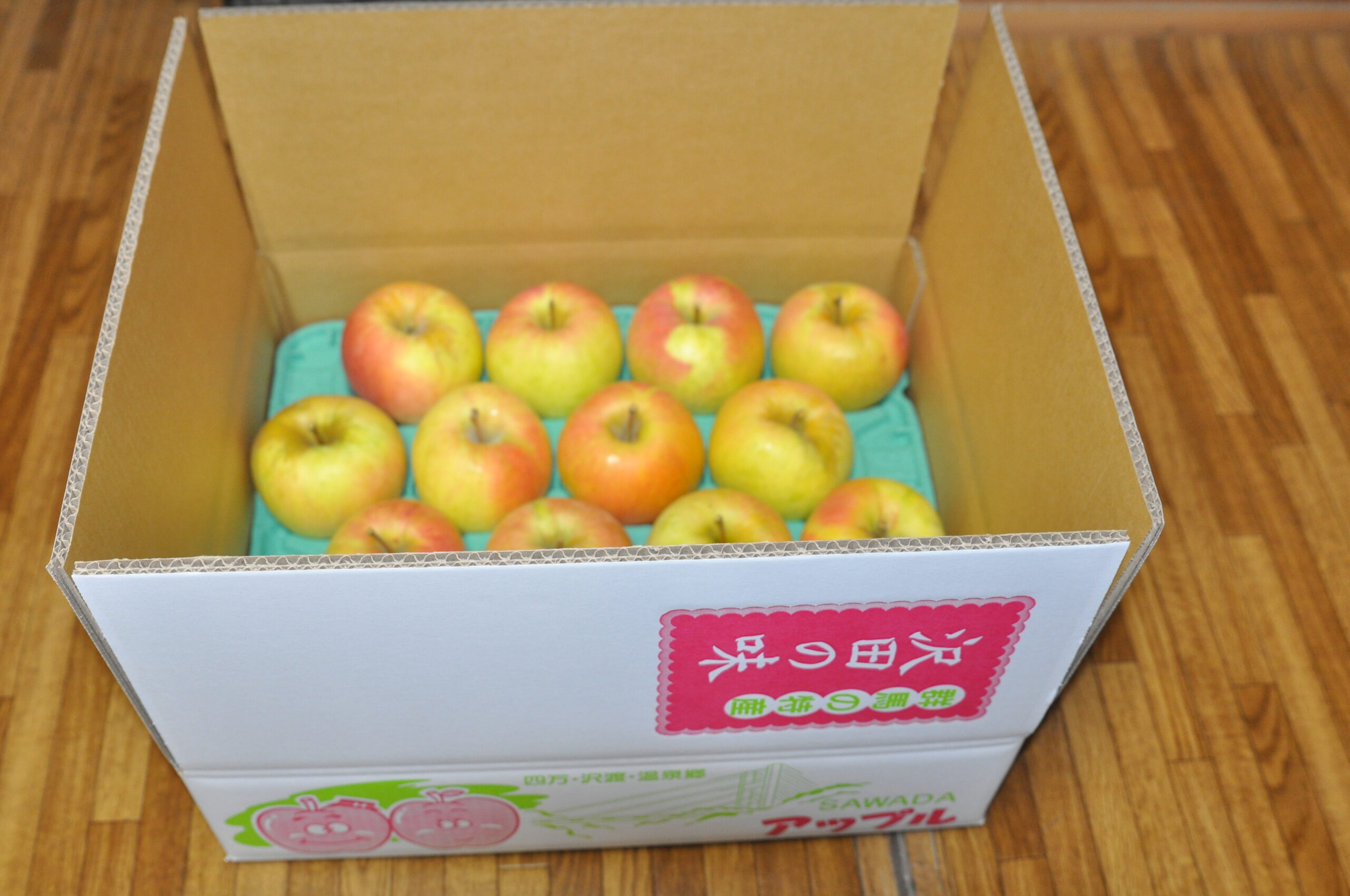 りんご・ぐんま名月5kg - 画像 (2)